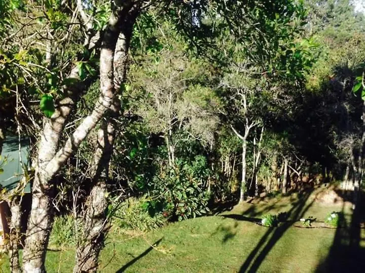 Alma Viva Finca Hotel Medellin Guest house
